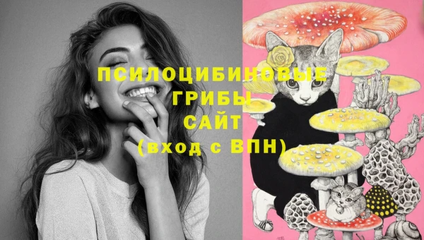 трава Абинск