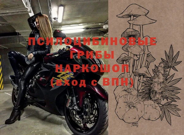 трава Абинск