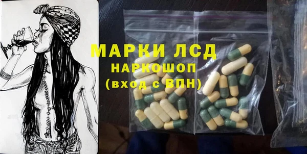прущие грибы Нягань