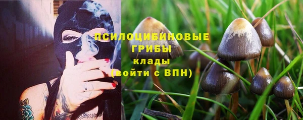 эйфоретик Абаза